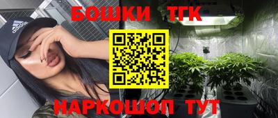 крисы Гудермес