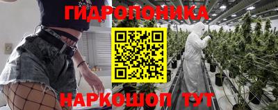 крисы Гудермес