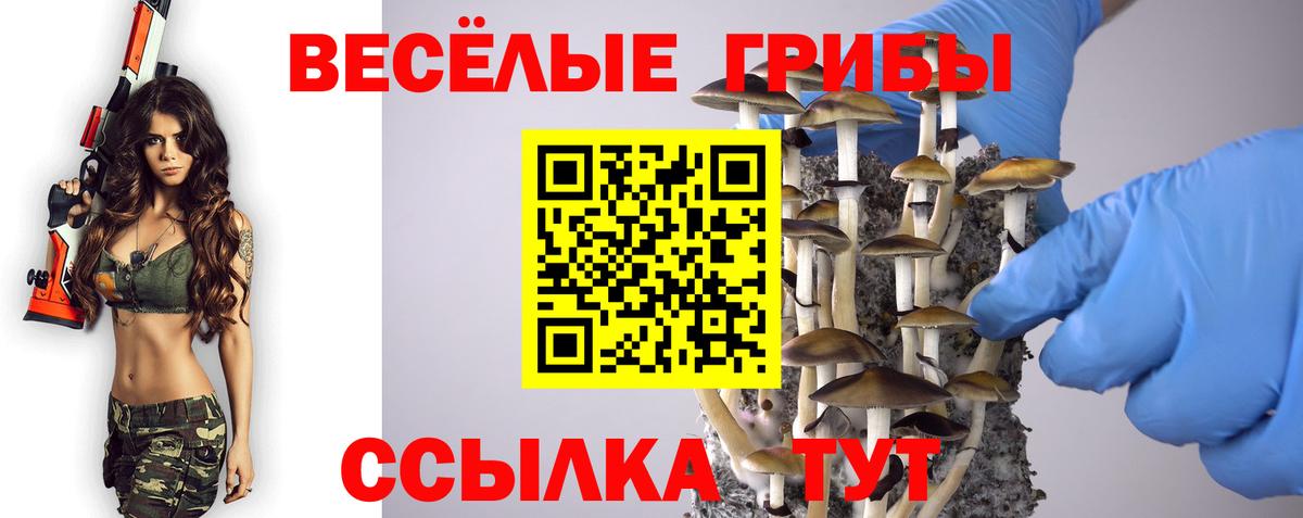 Псилоцибиновые грибы Psilocybine cubensis  где купить   Дербент  Вход с VPN  Псилоцибиновые грибы ЛСД 